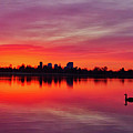 Early Morning Swim Photograph by Kevin Schwalbe