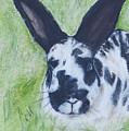 Ears To Us by Cori Solomon Ears To Us by Cori Solomon