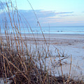 East Coast Morning Photograph by Mary Anne Delgado East Coast Morning Photograph by Mary Anne Delgado