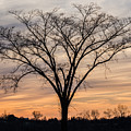 Easter 2015 Sunset Photograph by Holden The Moment Easter 2015 Sunset Photograph by Holden The Moment