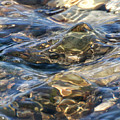 Ebbing Tide 1 Photograph by William Selander Ebbing Tide 1 Photograph by William Selander