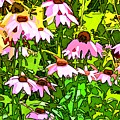 Echinacea Imagined by Linda Mears Echinacea Imagined by Linda Mears