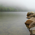 Into the Mist Photograph by Holly Ross Into the Mist Photograph by Holly Ross