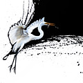 Egret 2 by Sandi Baker Egret 2 by Sandi Baker