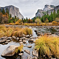 El Capitan and the Merced River in the Fall Photograph by Jeff Goulden El Capitan and the Merced River in the Fall Photograph by Jeff Goulden