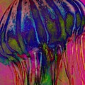 Electric Jellyfish Photograph by Marianna Mills Electric Jellyfish Photograph by Marianna Mills