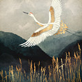 Elegant Flight Digital Art by Spacefrog Designs Elegant Flight Digital Art by Spacefrog Designs