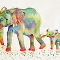 Elephant Family Watercolor Painting by Melly Terpening Elephant Family Watercolor Painting by Melly Terpening