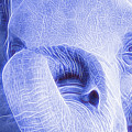 Elephant Looking Electrified by Randy J Heath Elephant Looking Electrified by Randy J Heath