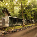 Elkmont In The Smokies Photograph by Mike Eingle Elkmont In The Smokies Photograph by Mike Eingle