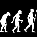 Elvis Evolution Pop Art by Filip Schpindel Elvis Evolution Pop Art by Filip Schpindel