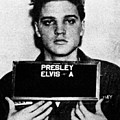 Elvis Presley Mug Shot Vertical 1 Wide 16 By 20 Painting by Tony Rubino Elvis Presley Mug Shot Vertical 1 Wide 16 By 20 Painting by Tony Rubino