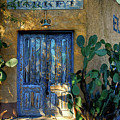 Elysian Grove In The Morning Photograph by Lois Bryan Elysian Grove In The Morning Photograph by Lois Bryan