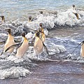 Emperor Penguins by Alan M Hunt