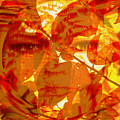Empress Of The Sun by Seth Weaver Empress Of The Sun by Seth Weaver