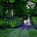 Enchanted Way Photograph by Julie Lueders Enchanted Way Photograph by Julie Lueders