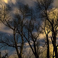 Enchanting Night Photograph by James BO Insogna Enchanting Night Photograph by James BO Insogna