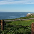 Enjoying The View by Shari Chavira Enjoying The View by Shari Chavira