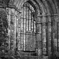 Entrance to Cong Abbey Cong Ireland by Teresa Mucha Entrance to Cong Abbey Cong Ireland by Teresa Mucha
