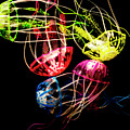 Entwined In Interconnectivity by Jorgo Photography - Wall Art Gallery Entwined In Interconnectivity by Jorgo Photography - Wall Art Gallery