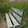 Environmentally Friendly Seating by Ann Horn Environmentally Friendly Seating by Ann Horn