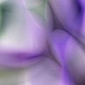 Erotica 2 by David Lane Erotica 2 by David Lane