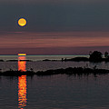Eternal Summer Photograph by Doug Gibbons Eternal Summer Photograph by Doug Gibbons