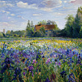 Evening at the Iris Field Painting by Timothy Easton Evening at the Iris Field Painting by Timothy Easton