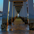 Evening Glow Beneath the Pier Photograph by Mark Rogers