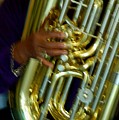 Excelsior Band Tuba Digital Art by Michael Thomas Excelsior Band Tuba Digital Art by Michael Thomas
