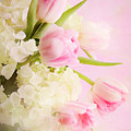 Except For Flowers Photograph by Theresa Tahara Except For Flowers Photograph by Theresa Tahara