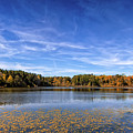 Exploring Tribble Mill Park Photograph by Bernd Laeschke