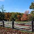 Fall fence by Eric Liller Fall fence by Eric Liller