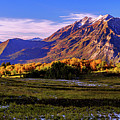 Fall Meadow Photograph by Chad Dutson