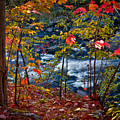 Fall - Streamside, Photograph by Rikk Flohr Fall - Streamside, Photograph by Rikk Flohr