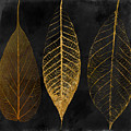 Fallen Gold II Autumn Leaves by Mindy Sommers Fallen Gold II Autumn Leaves by Mindy Sommers