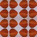 Fallen Leaves Arrangement Digital Art by Helena Tiainen Fallen Leaves Arrangement Digital Art by Helena Tiainen