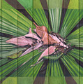 Fantail Palm Plateau - flat detail section by Kerryn Madsen-Pietsch Fantail Palm Plateau - flat detail section by Kerryn Madsen-Pietsch