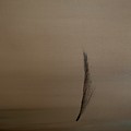 Feather by Jack Diamond Feather by Jack Diamond