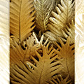 Feeling Nature by Holly Kempe Feeling Nature by Holly Kempe