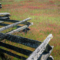 Fence And Field Photograph by Tom Singleton Fence And Field Photograph by Tom Singleton