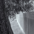 Fence In Black And White Photograph by Tom Singleton Fence In Black And White Photograph by Tom Singleton