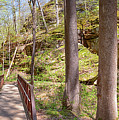 Ferne Clyffe Panorama Photograph by Susan Rissi Tregoning Ferne Clyffe Panorama Photograph by Susan Rissi Tregoning