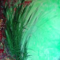 Ferns by Lizzy Forrester Ferns by Lizzy Forrester