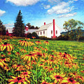 Field of Black Eyed Susans Painting by Marie Witte Field of Black Eyed Susans Painting by Marie Witte