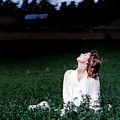 Field Of Dreams Photograph by DArcy Evans Field Of Dreams Photograph by DArcy Evans