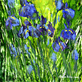 Field of Irises Painting by Charlene Fuhrman-Schulz Field of Irises Painting by Charlene Fuhrman-Schulz