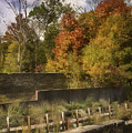 Fiery Autumn Photograph by Scott Norris Fiery Autumn Photograph by Scott Norris