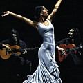 Finale del Funcionamiento del Flamenco Painting by Richard Young Finale del Funcionamiento del Flamenco Painting by Richard Young