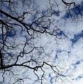 Fingers in the sky Photograph by Stacie Siemsen Fingers in the sky Photograph by Stacie Siemsen